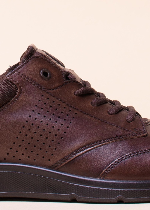 Ecco vabaajajalatsid