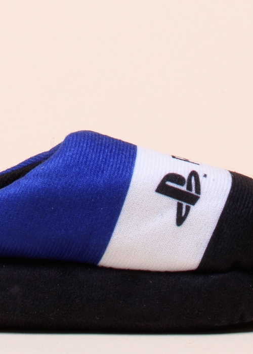 Leomil sussid Playstation