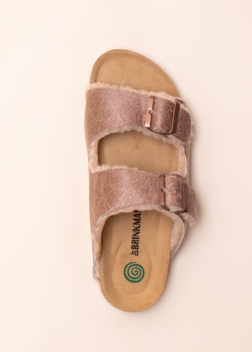 Dr. Brinkmann sussid