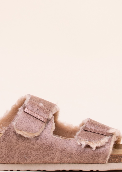 Dr. Brinkmann sussid