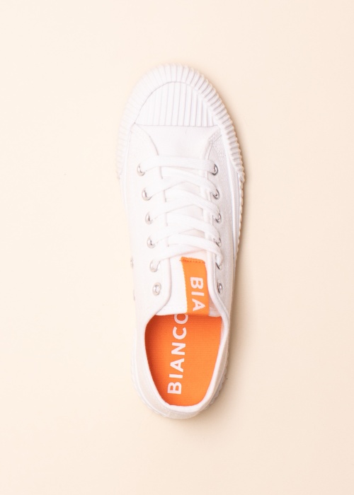 Bianco tennised Bianina