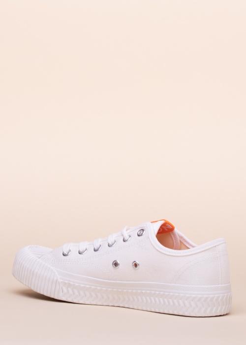 Bianco tennised Bianina