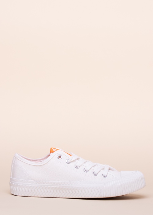 Bianco tennised Bianina