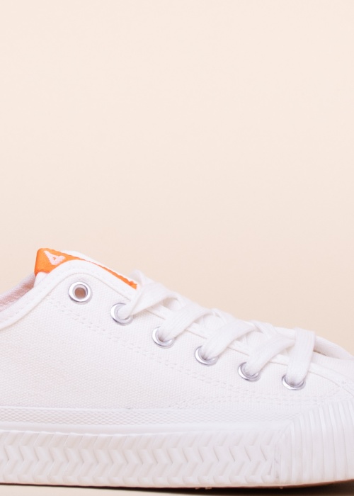 Bianco tennised Bianina