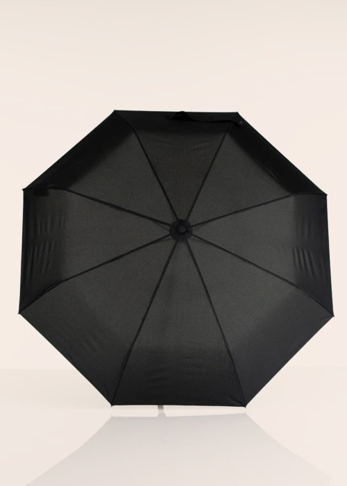 Зонтик Lasessor