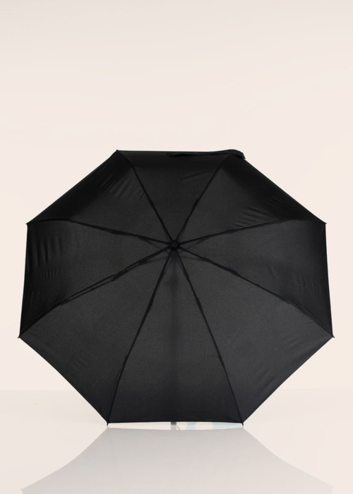 Зонтик Lasessor