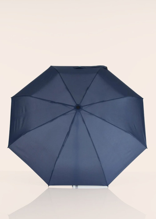 Зонтик Lasessor