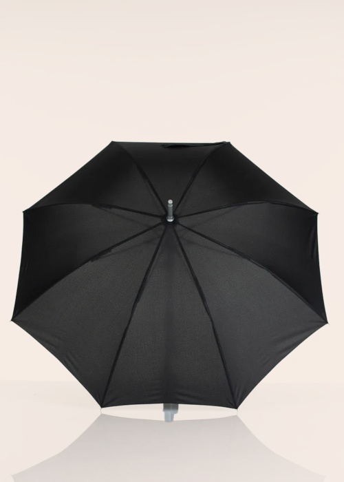 Зонтик Lasessor