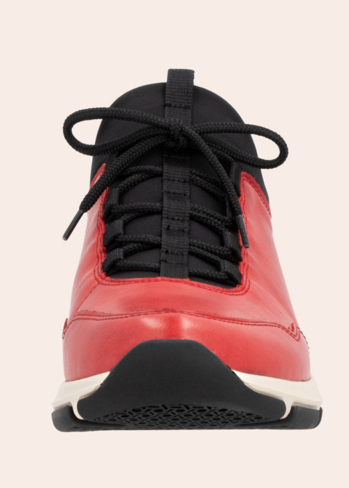 Remonte vabaajajalatsid