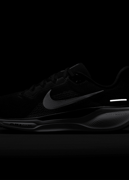 Nike jooksujalatsid Air Zoom Pegasus 41