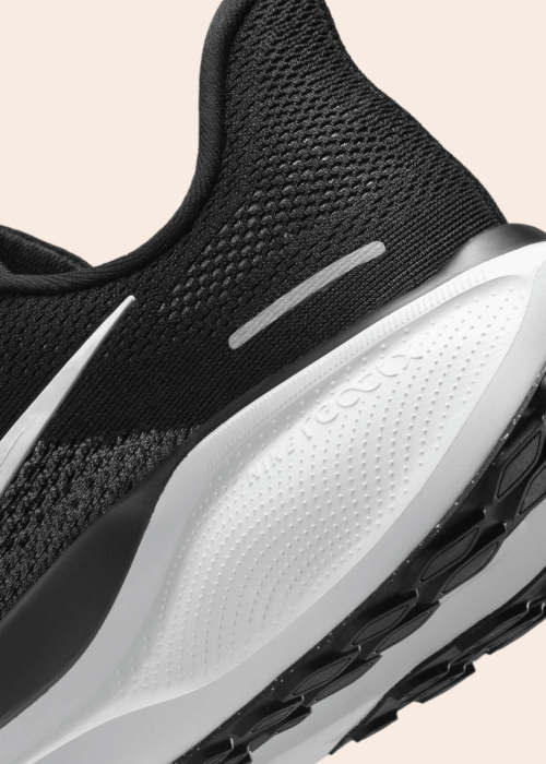 Nike jooksujalatsid Air Zoom Pegasus 41