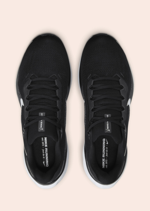 Nike jooksujalatsid Air Zoom Pegasus 41