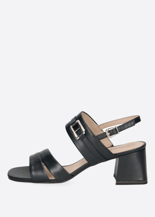 Caprice lahtised kingad