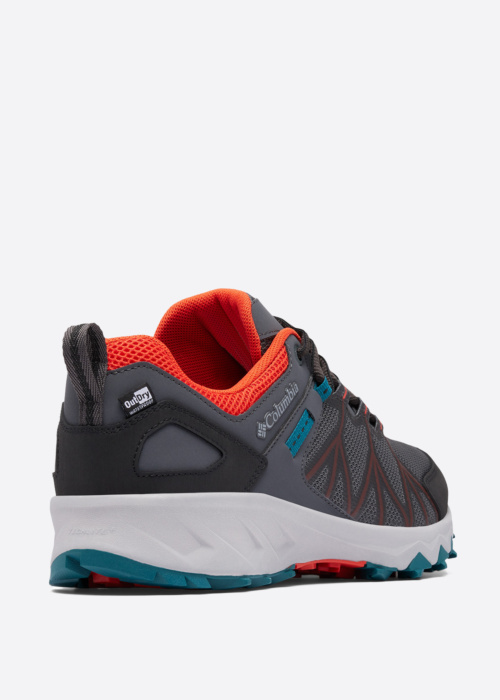 Походные кроссовки Peakfreak 2 Columbia