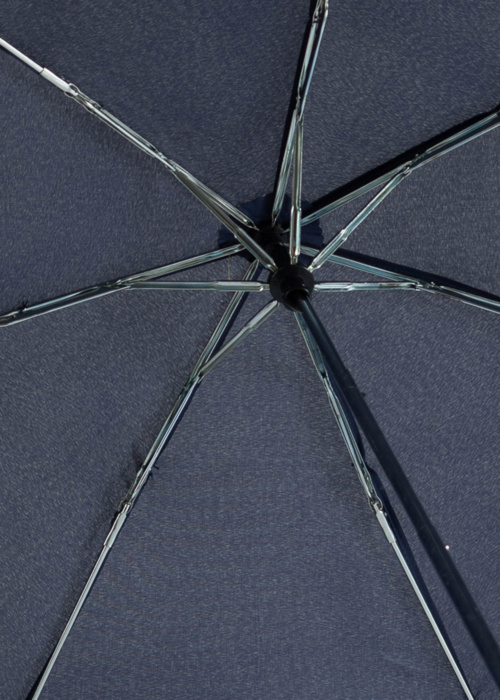 Зонтик Lasessor