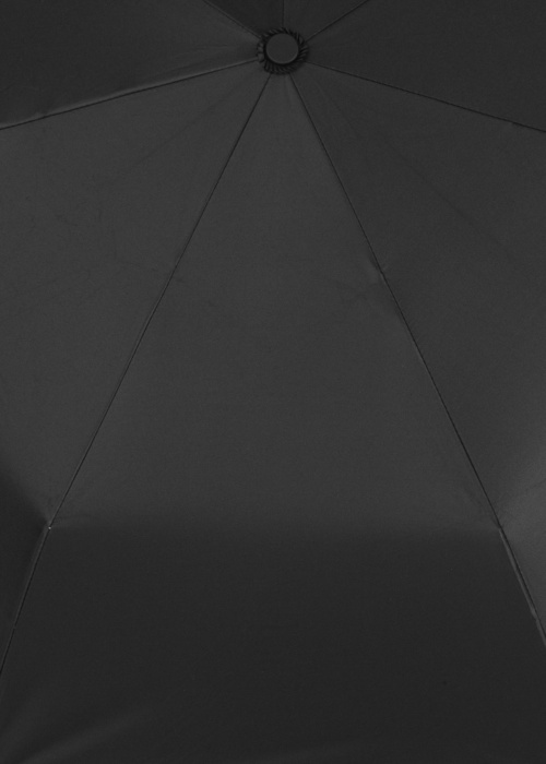 Зонтик Lasessor