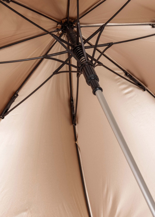 Зонтик Lasessor