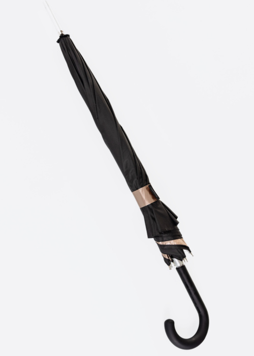 Зонтик Lasessor