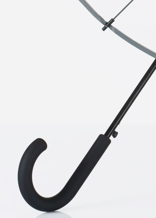 Зонтик Lasessor