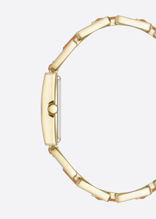 Anne Klein käekell kinkekarbis