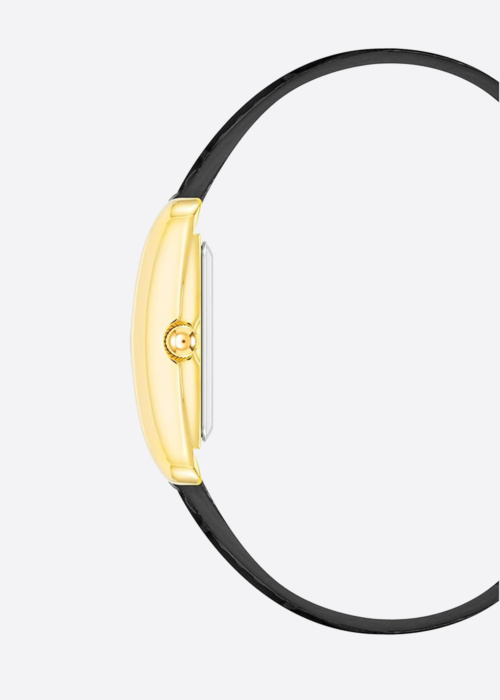 Anne Klein käekell kinkekarbis