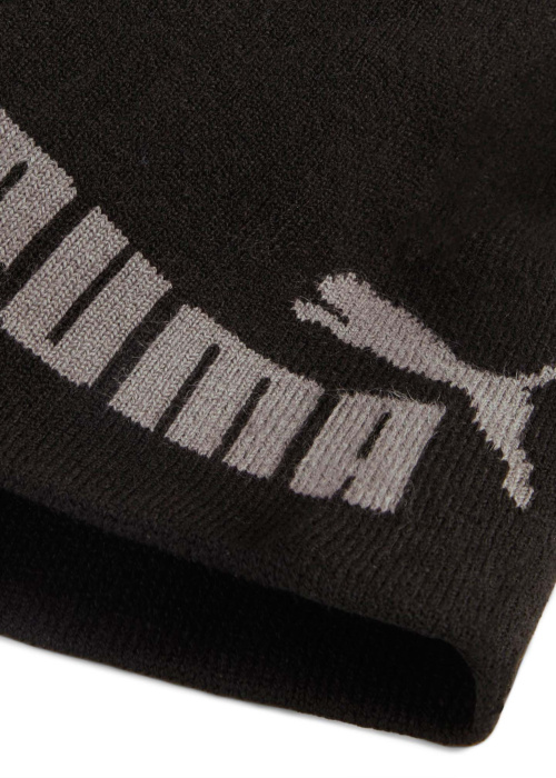 Шапка Ess Mid Puma