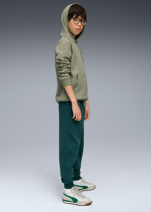 Puma dressipüksid Ess No.1 Logo