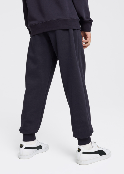 Puma dressipüksid Ess No.1 Logo