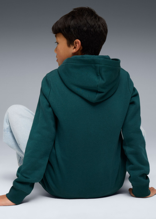 Кофта Ess No.1 логотип Puma