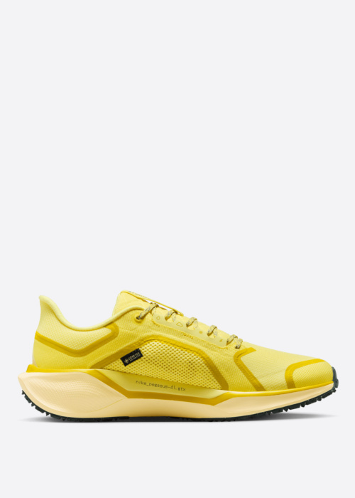 Nike jooksujalatsid Air Zm Pegasus 42