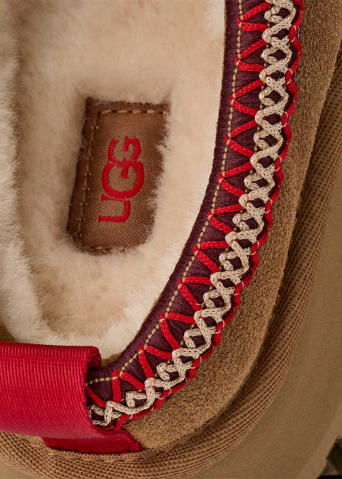 Тапочки Tazz 2 UGG