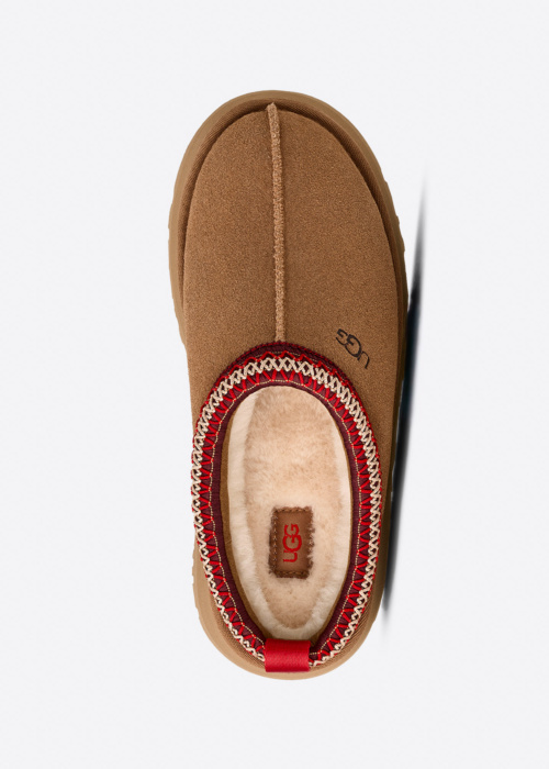 Тапочки Tazz 2 UGG