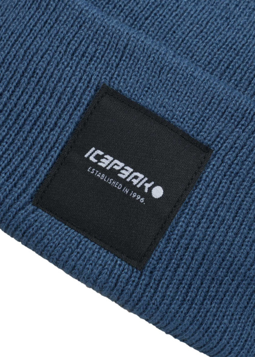 Шапка Harcourt Icepeak