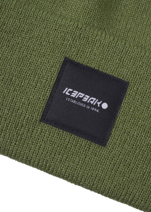 Зимняя шапка Harcourt Icepeak