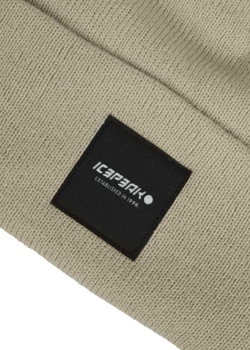 Шапка Harcourt Icepeak