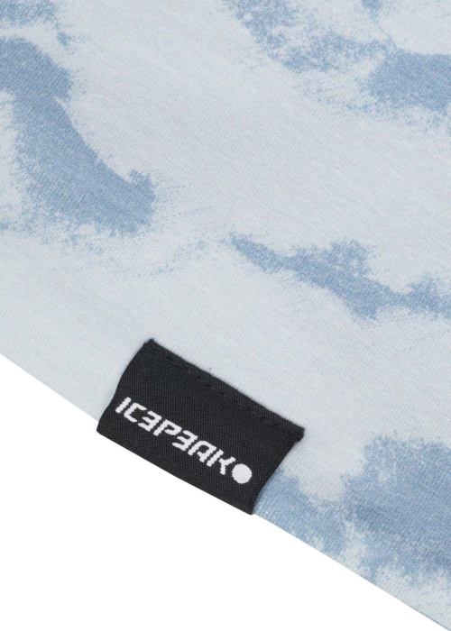 Шапка  Hartford Jr Icepeak