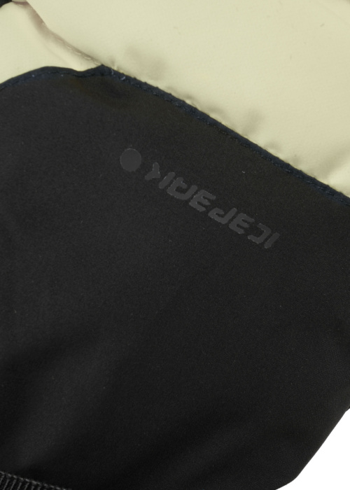 Icepeak kindad Hecklingen