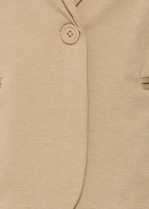 Пиджак Rizetta b.young