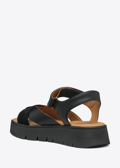 Туфли Dandra Geox