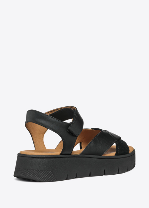 Туфли Dandra Geox