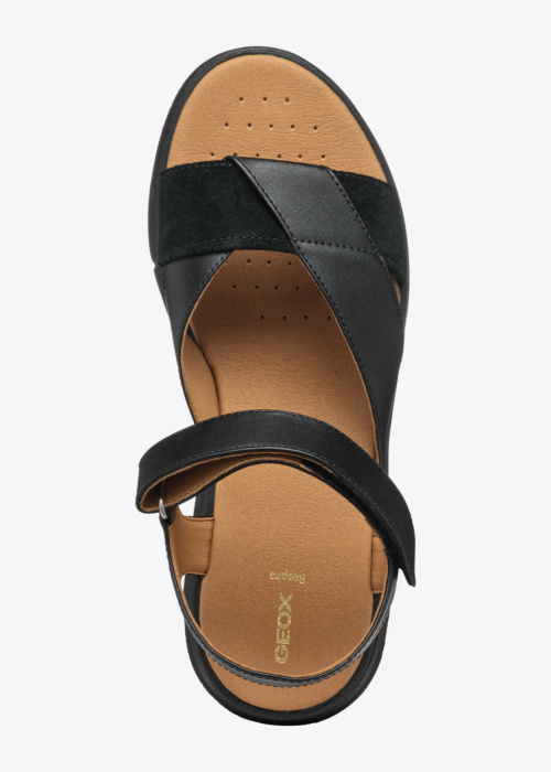 Туфли Dandra Geox