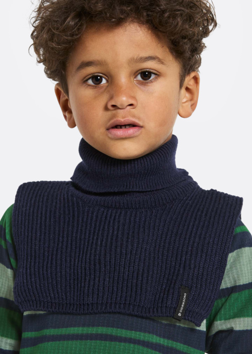 Didriksons sall Delfinen  2