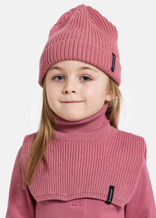 Didriksons sall Delfinen  2