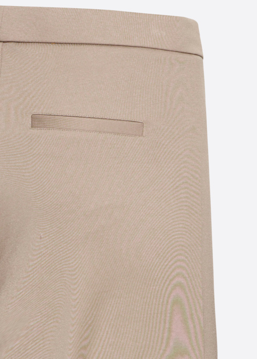 Брюки Blazer Fransa