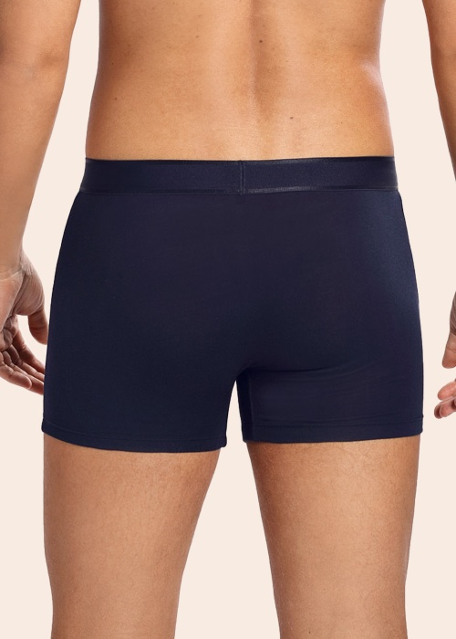 Боксеры Friends