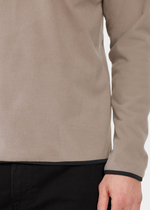 Didriksons fliis Hannes