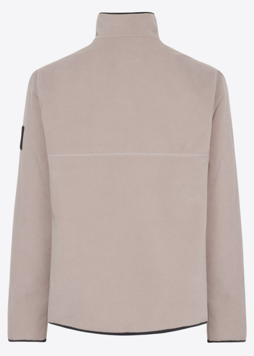 Didriksons fliis Hannes