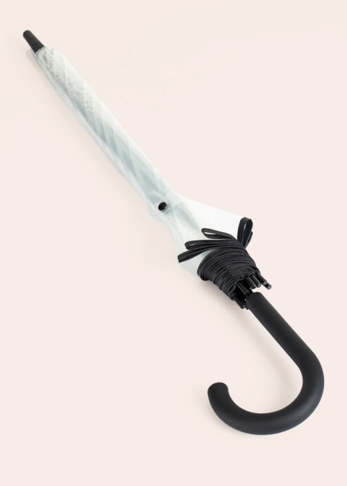 Зонтик Lasessor