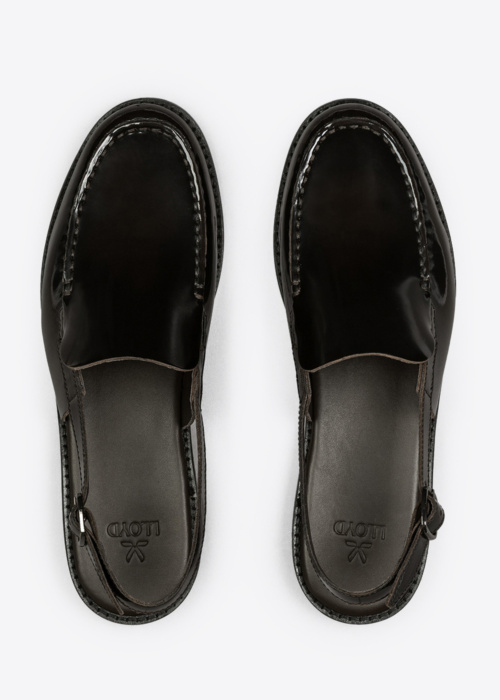 Lloyd kingad Clout Roam