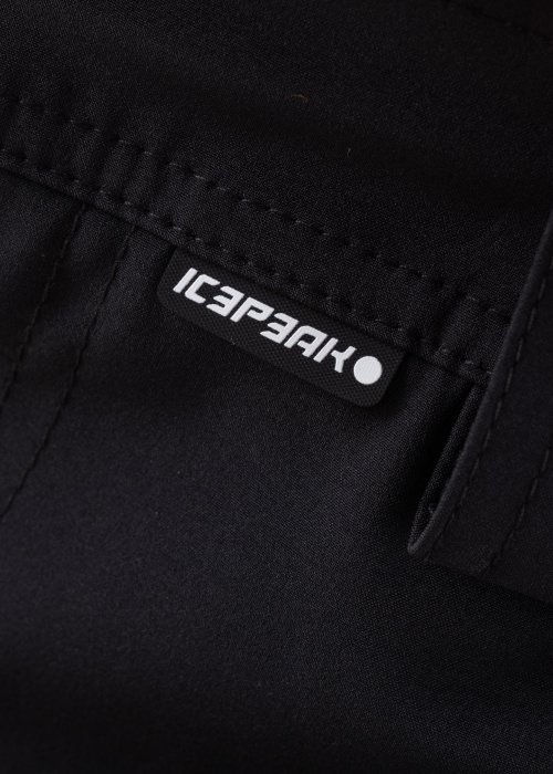 Брюки Dorr Icepeak